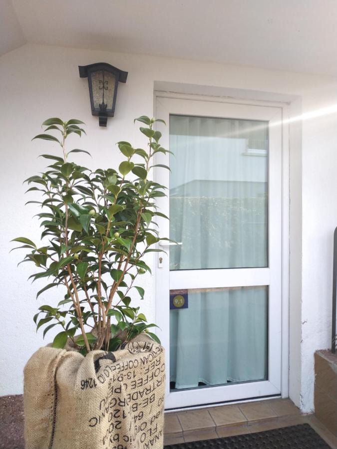 La Malle - La Suite Schiltigheim Exterior foto